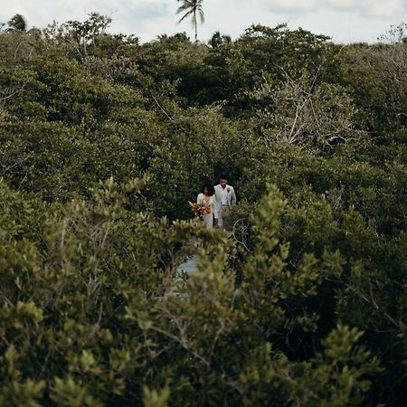 מלון Nativus Glamping & Cenote טולום מראה חיצוני תמונה